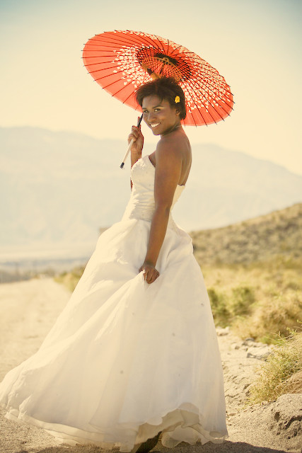 Trash-the-Dress-Palm-Springs