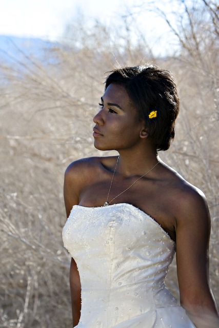 Trash-the-Dress-Palm-Springs