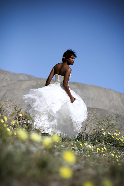 Trash-the-Dress-Palm-Springs