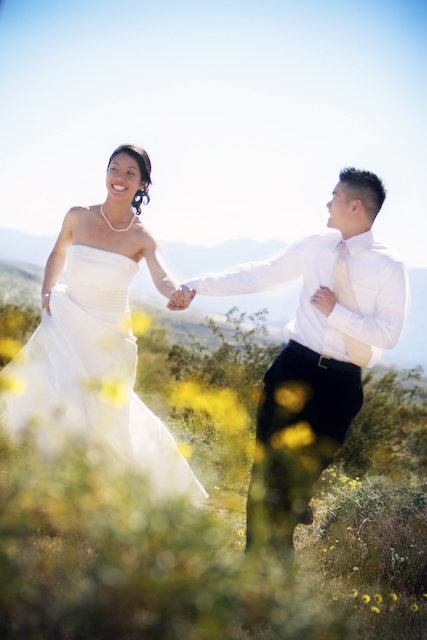 Trash the Dress session in Palm Springs