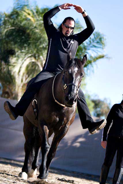 Horse training