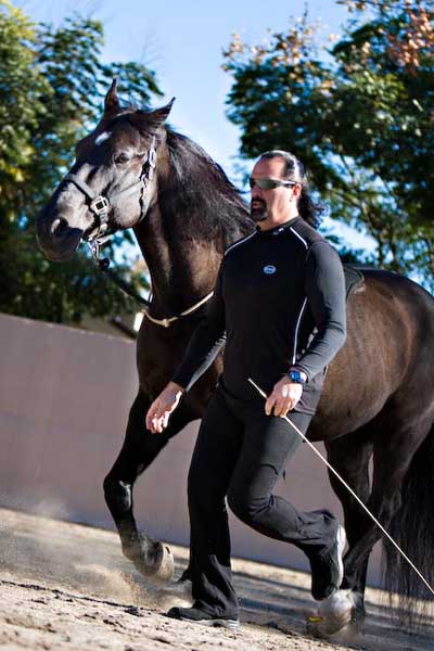 Horse training