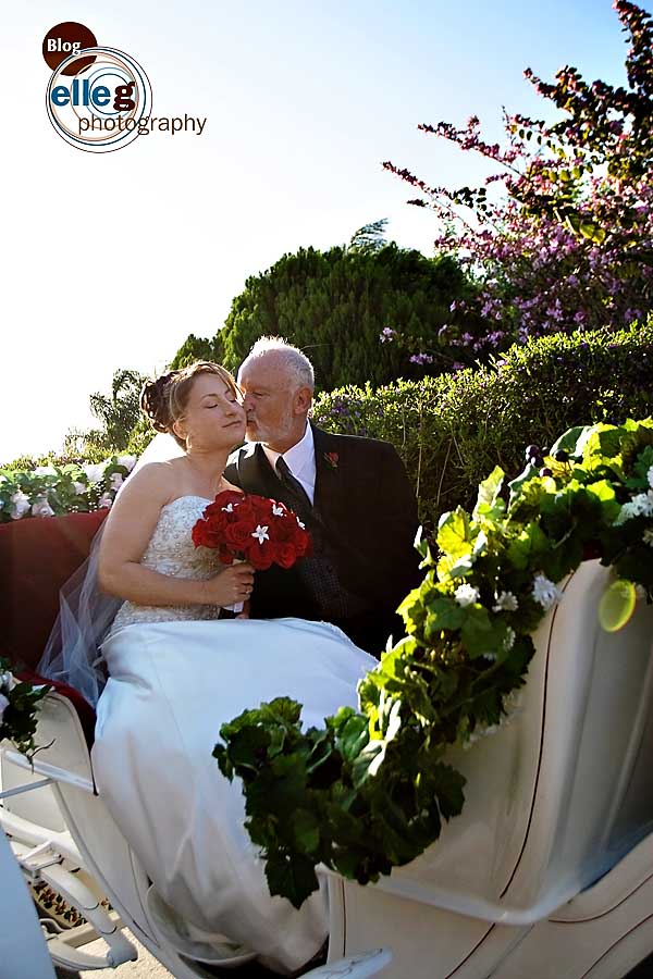 632 Grand-Tradition-wedding