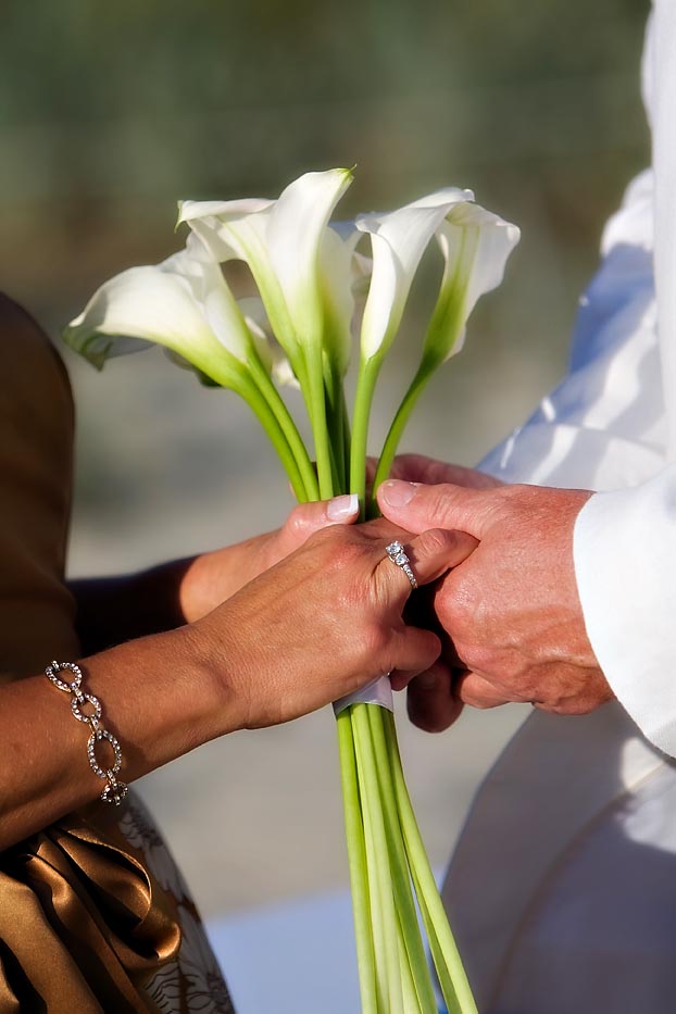hotel-del-coronado-wedding