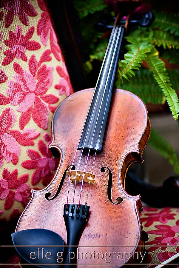 Gloria-Paris-Sterling-Strings