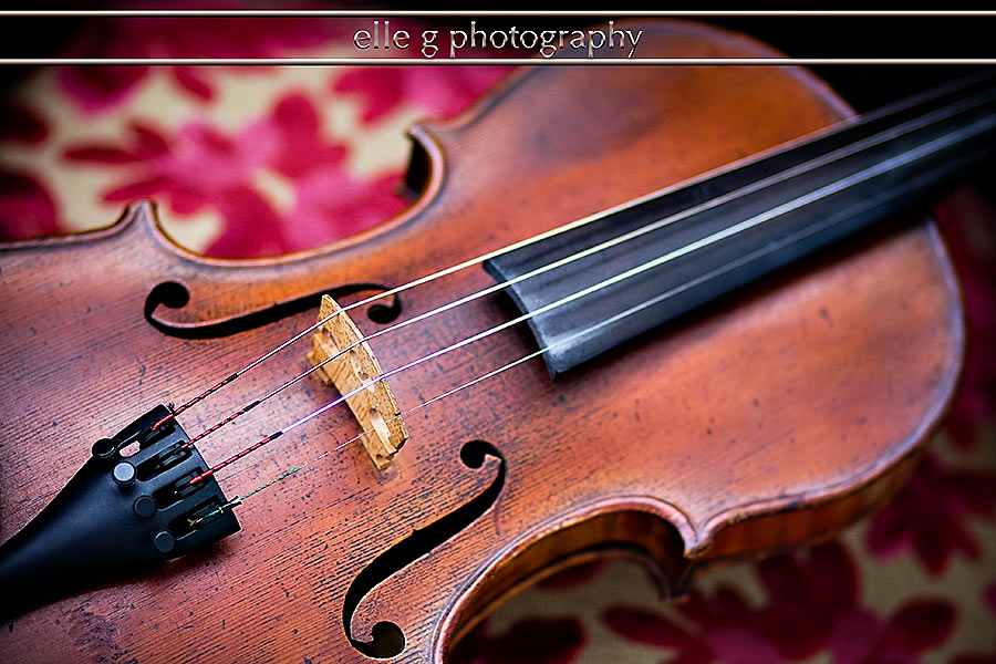 San-Diego-Violinist-Gloria-Paris