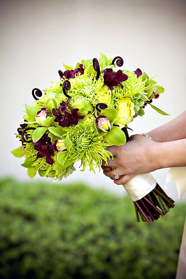 Organic Elements Immaculata-Wedding-and-The-Westin-Hotel