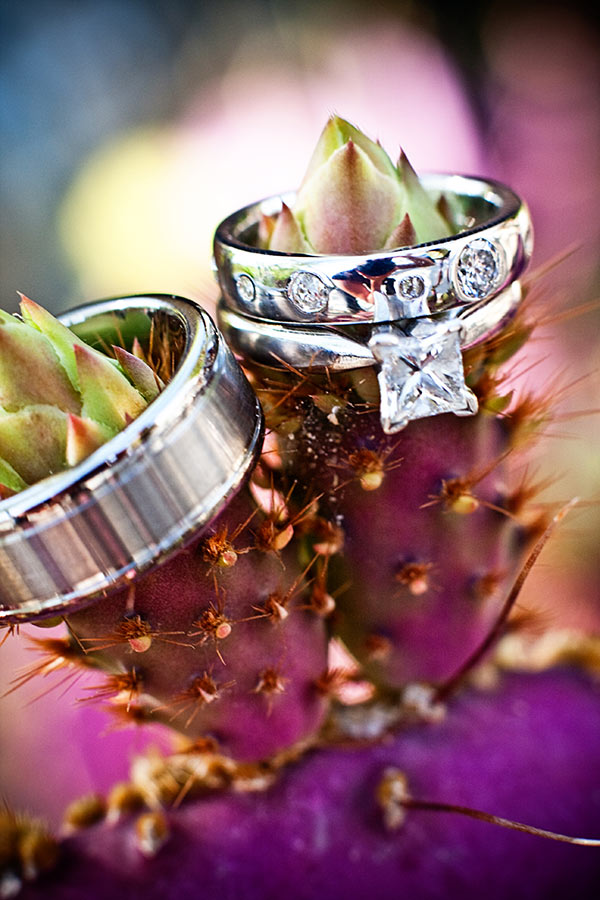 Borrego Springs Resort wedding Borrego-Springs-Resort-Wedding