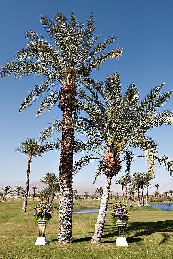 Borrego Springs Resort Borrego-Springs-Resort-Wedding