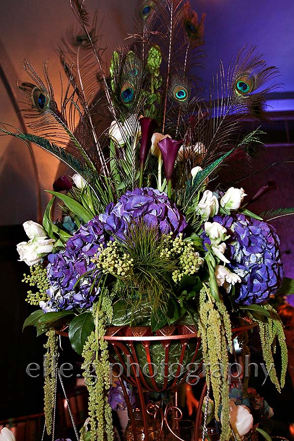 ann-5 Peacock-inspired-wedding