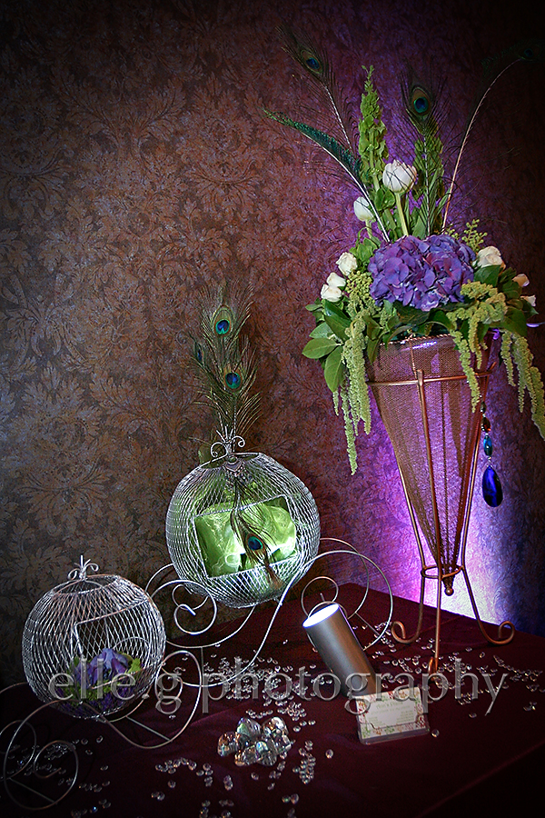 ann-6 Peacock-inspired-wedding
