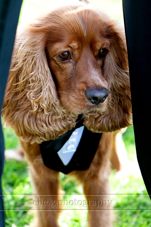 Seagrove Park wedding wedding-at-Seagrove-Park
