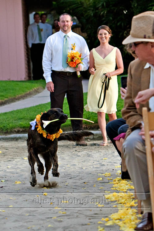 Wedding-at-The-Bahia