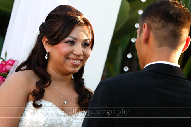 Sheraton Harbor Island wedding Sheraton-Harbor-Island-Wedding