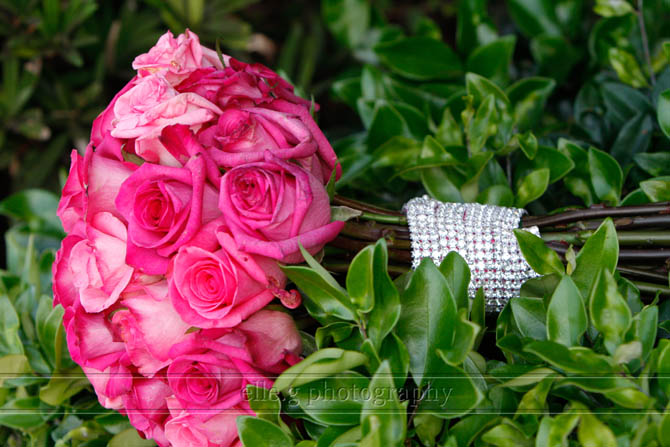 Sheraton Harbor Island wedding Sheraton-Harbor-Island-Wedding