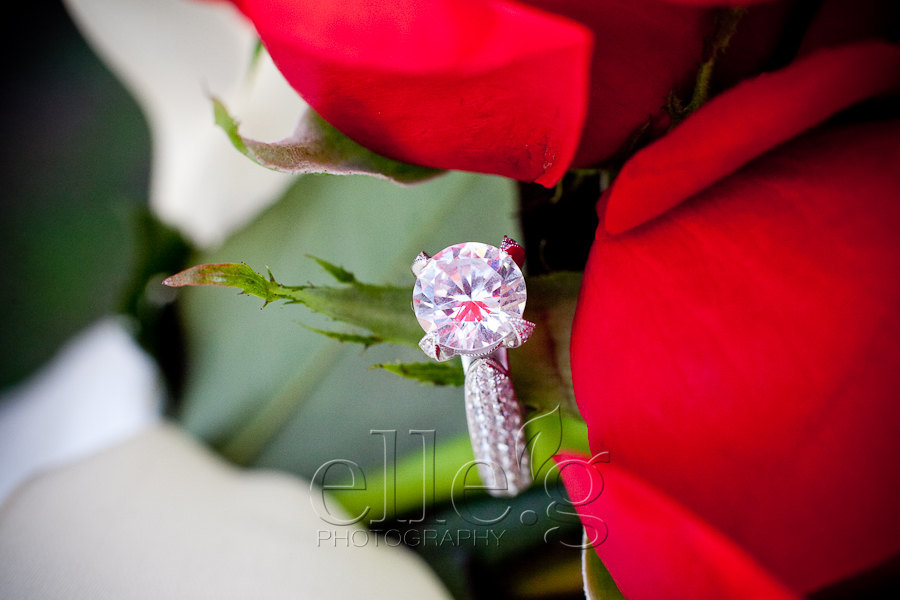 0006DaisyRicardo cuvier-park-wedding-by-elle.g-photography