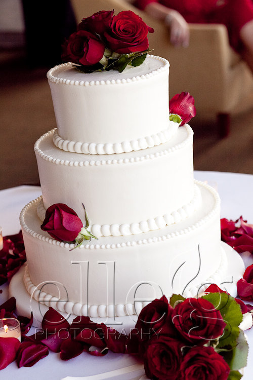 0016CraigGretchen outdoor-wedding-by-elle.g-photography
