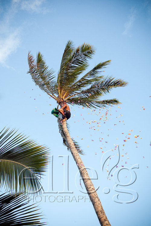 0024hawaiiwedding hawaii-destination-wedding