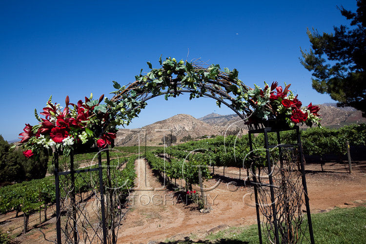 san diego wedding photographer elle.g