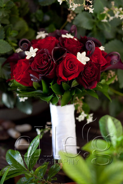 san diego wedding photographer elle.g