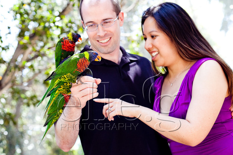 san diego wedding photographer