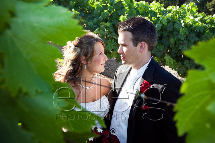 san diego wedding photography