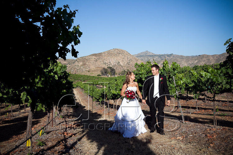 san diego wedding photography